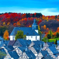 FREUDENBERG 01