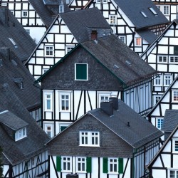FREUDENBERG 02