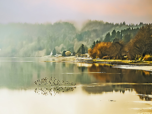 Color Cove by Michael Griffin