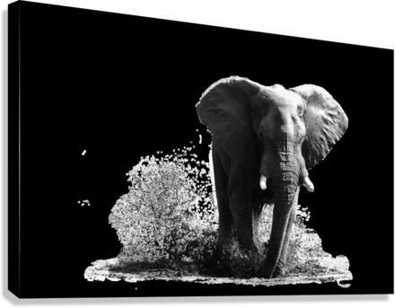 SPLASH Canvas Print