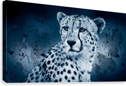 WINTER Canvas Print