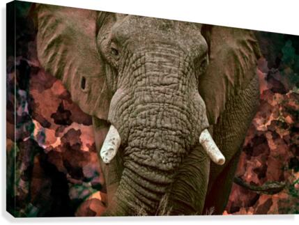 AUTUMN Canvas Print