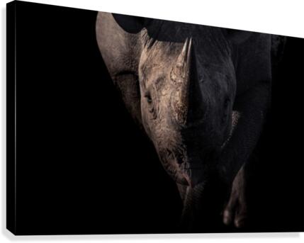 BRAVE Canvas Print