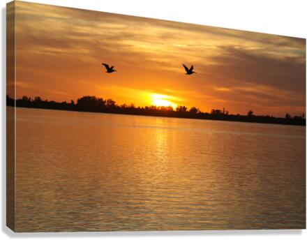 Tranquility Canvas Print