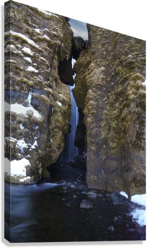 Hidden Glory Canvas Print