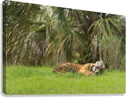 Feast Canvas Print