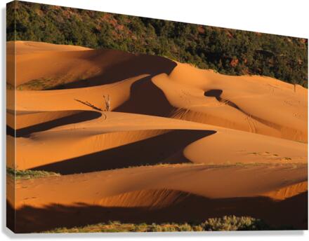 Whispering Waves Canvas Print
