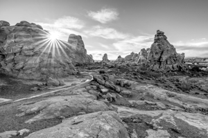 Windows Primitive Loop Sunburst Grayscale