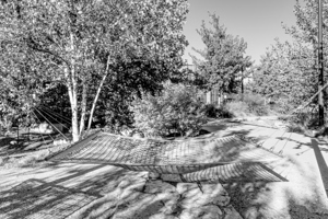 Hammock In The Shadows Of Omaha Grayscale