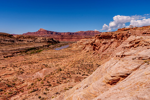 Colorado River In Hite Utah