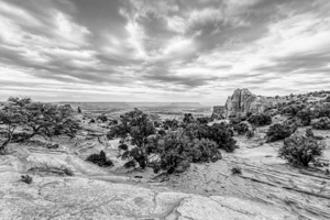 Mesa And Canyonlands Landscape Grayscale