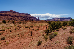 Hittle Bottom Camground Vista