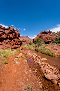 Rock Formations And Professor Creek Vertical