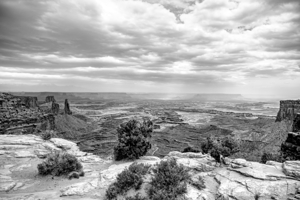 Buck Canyon At Canyonlands Grayscale