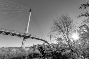 Looking Up Bob Kerrey Bridge Grayscale