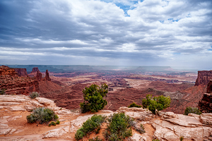 Buck Canyon At Canyonlands