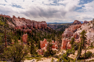 Bryce Swamp Canyon Overlook