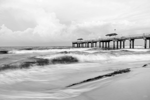 Orange Beach Tide And Timber Grayscale