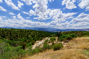 Scenic Splendor From Palmer Park