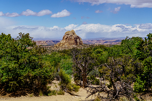 Utah Ghost Rock Over Junipers
