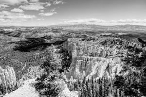 Rainbow Point View From Bryce Canyon Grayscale