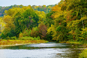 North Fork River Flows Into Fall
