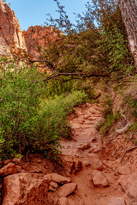Rocky Trail To Zion Canyon Overlook