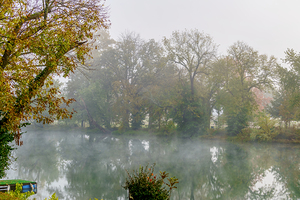 Finley River Foggy Autumn Riverbank