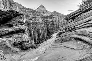 Zion Canyon Overlook Mountain Over Rocks Grayscale
