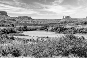 Parriott Mesa And Colorado River Grayscale