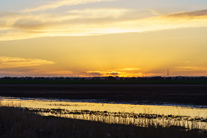 Colorado Farm Golden Sunset Glare