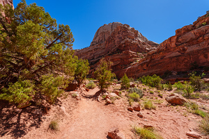 Grand Wash Trail Capitol Reef