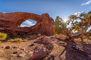 Arches North Window Sunburst