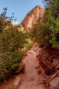 Pathway To The Majestic Zion Canyon