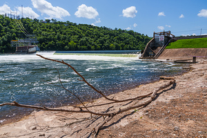 Tree Limb By Forsyth Missouri Dam by Jennifer White