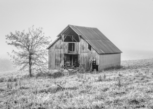 Ozarks Foggy Barn Grayscale