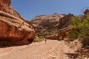 Hiking At Grand Wash
