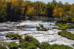 Joplin Shoal Creek Rapids