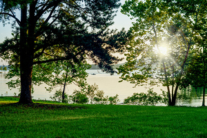 Table Rock Lake Morning Sunburst Fishing