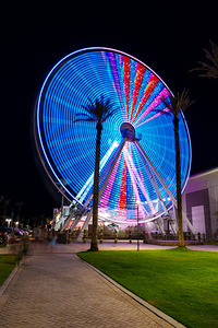 Night Lights Orange Beach Ferris Wheel