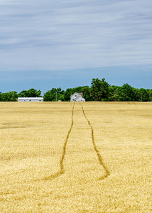 Kansas Wheat Field Farm Tracks Home by Jennifer White