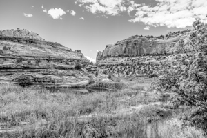 Lower Calf Creek Through Canyon Grayscale