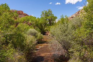 Calf Creek Utah