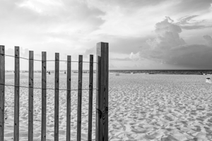 Orange Beach Morning By Sand Fence Grayscale
