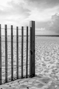 Orange Beach Morning By Sand Fence Vertical Grayscale