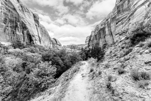 Lower Calf Creek Hike Between Walls Grayscale