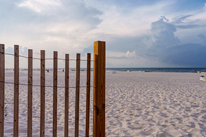 Orange Beach Morning By Sand Fence