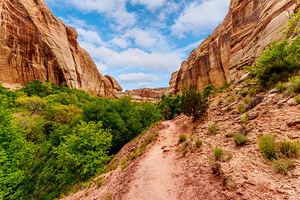 Lower Calf Creek Hike Between Walls