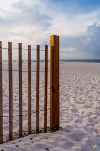 Orange Beach Morning By Sand Fence Vertical