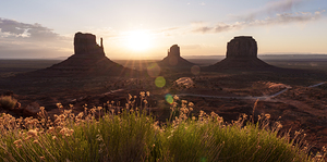 Sunrise Monument Valley Flowers Pano